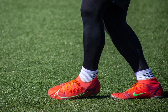 这个骄人的 这个骄人的