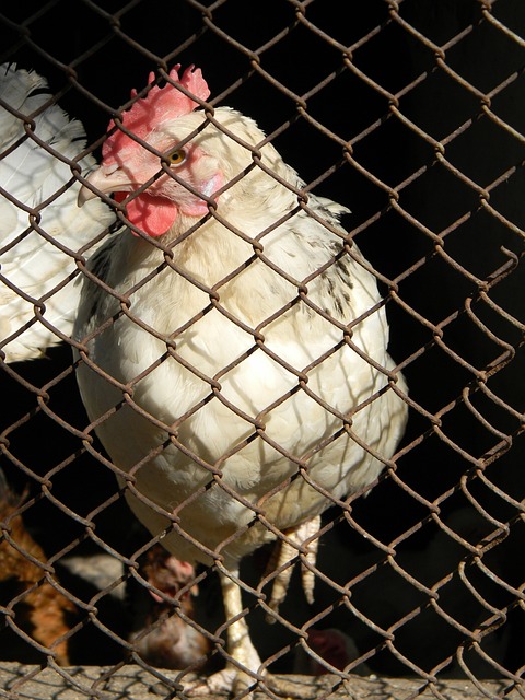 在更为细致 在更为细致