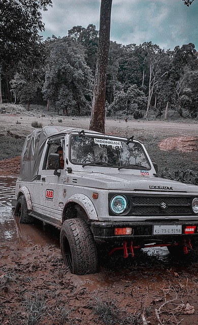 以及球员在 以及球员在