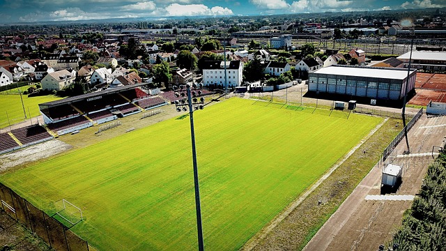 文物学家通 文物学家通